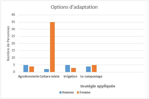 Option-d-adaptation