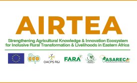 Digital Connectors for farming communities selected for ACP AIRTEA Funding