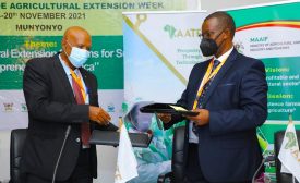 AFAAS signs a MOU with African Agricultural Technology Foundation to Enhance Technology Adoption and Utilization in Africa