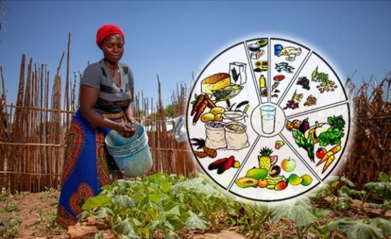 6 food groups illustration