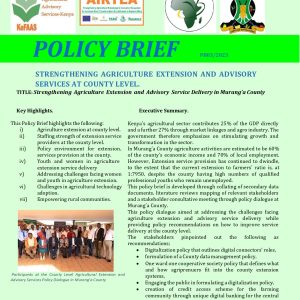 Policy Brief Final copy_page-0001