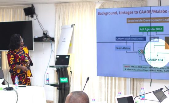 dr-Irene-CAADP-XP4