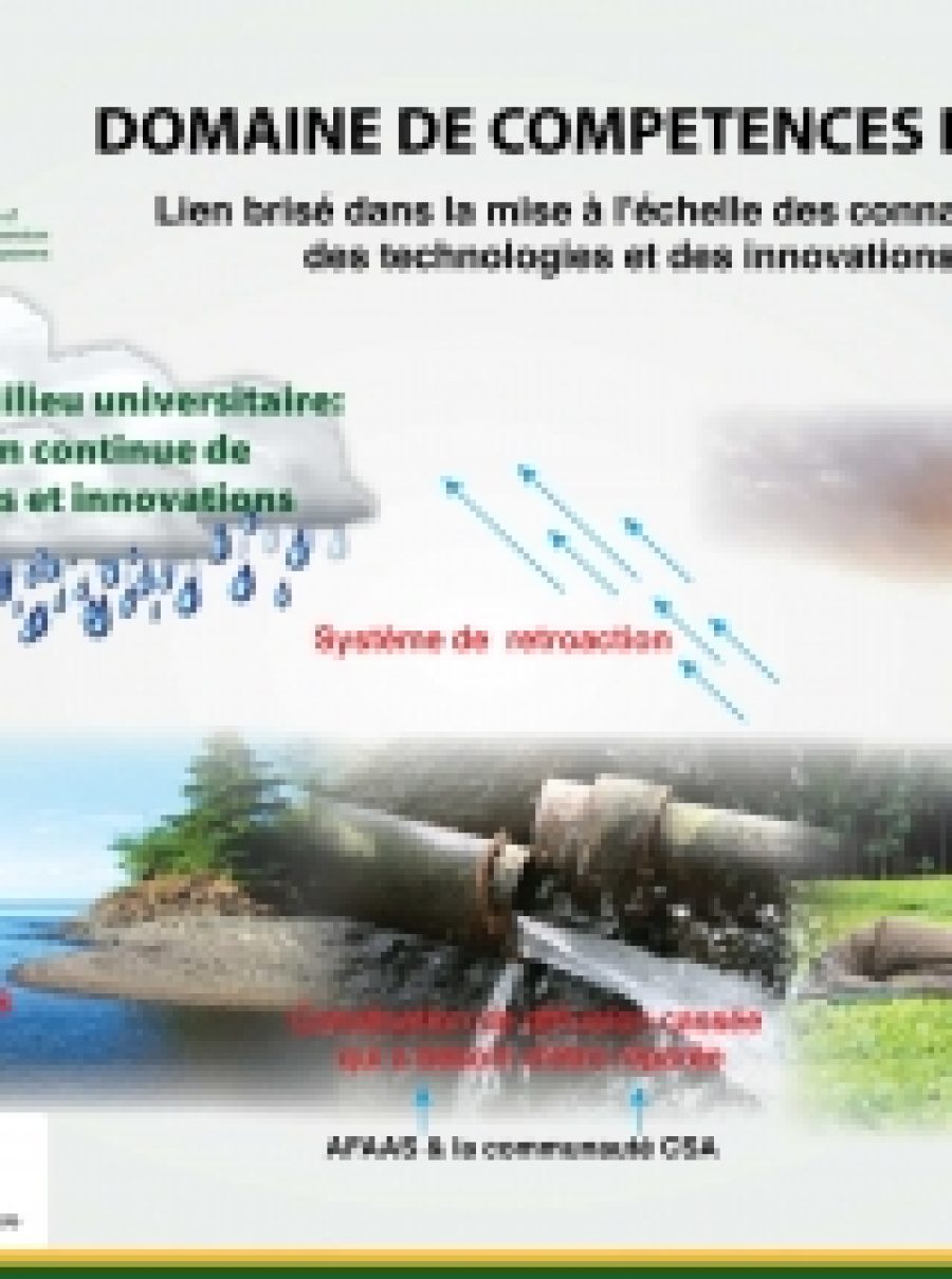 DOMAINES DE COMPETENCE D