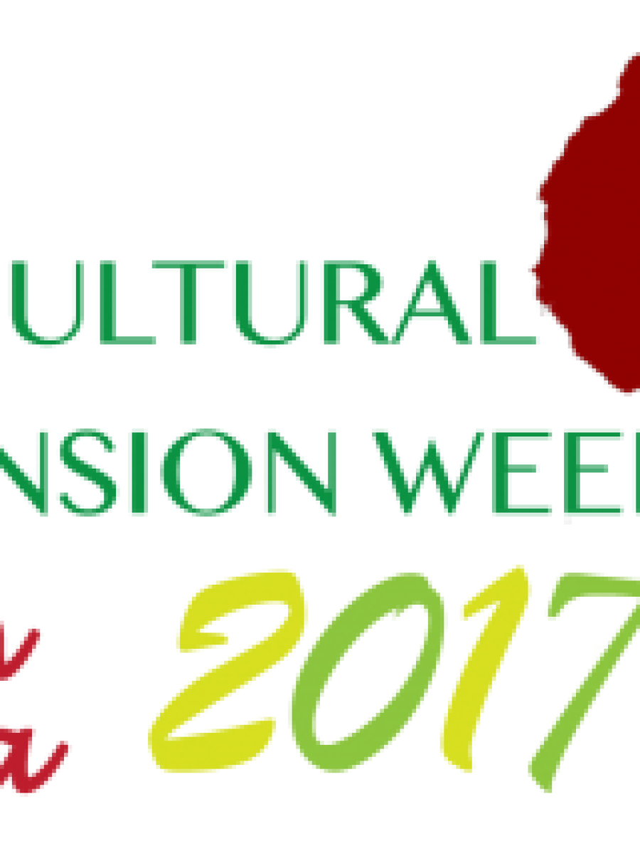 DURBAN DECLARATION AFRICA AGRICULTURAL EXTENSION WEEK 2017