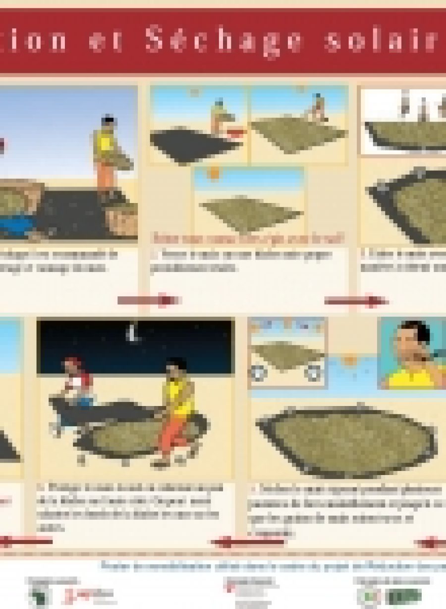 PHM Poster : Desinfection et sechage solaire du Mais